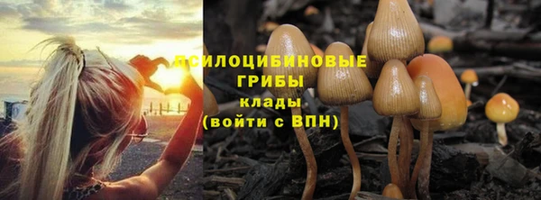не бодяженный Армянск