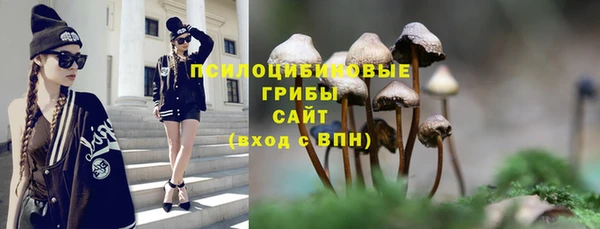 не бодяженный Армянск