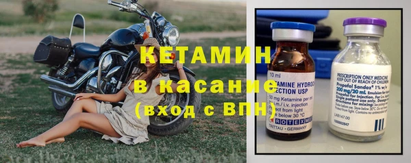 стаф Аркадак