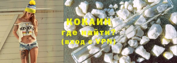 стаф Аркадак