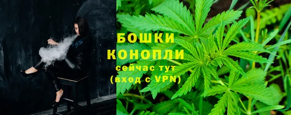 стаф Аркадак
