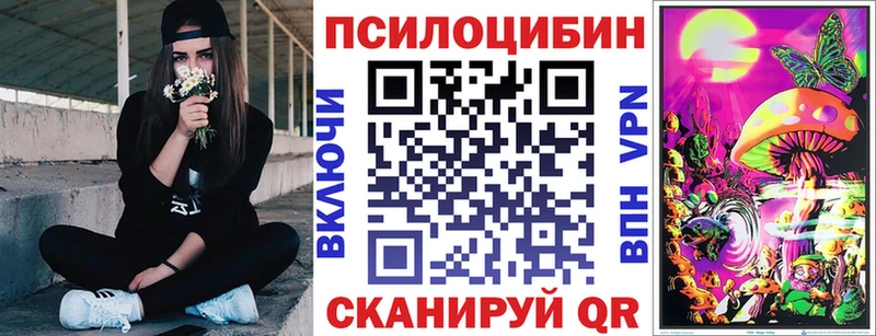 Галлюциногенные грибы Psilocybe  мега   Боготол 